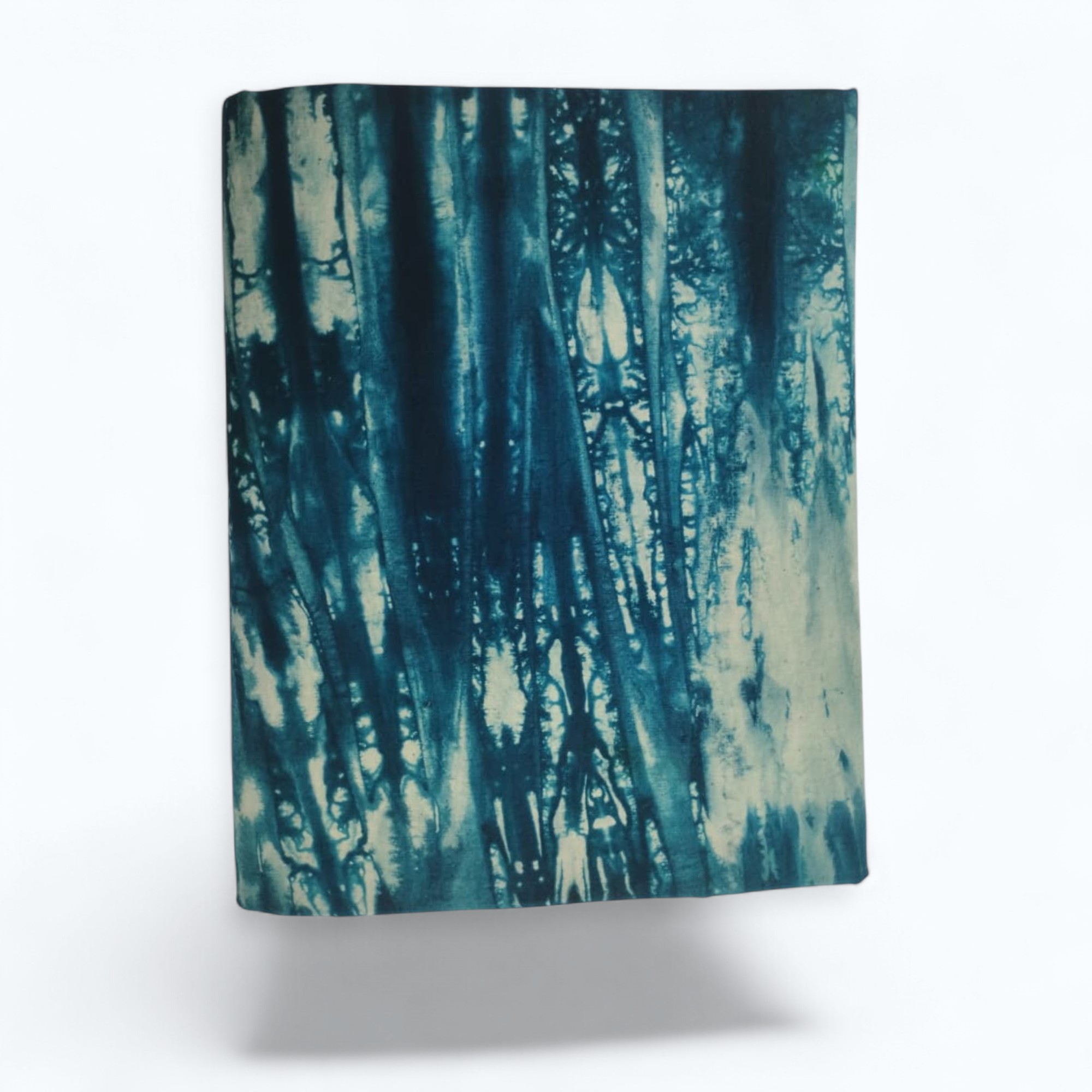 Pagne teinté Forêt bleue